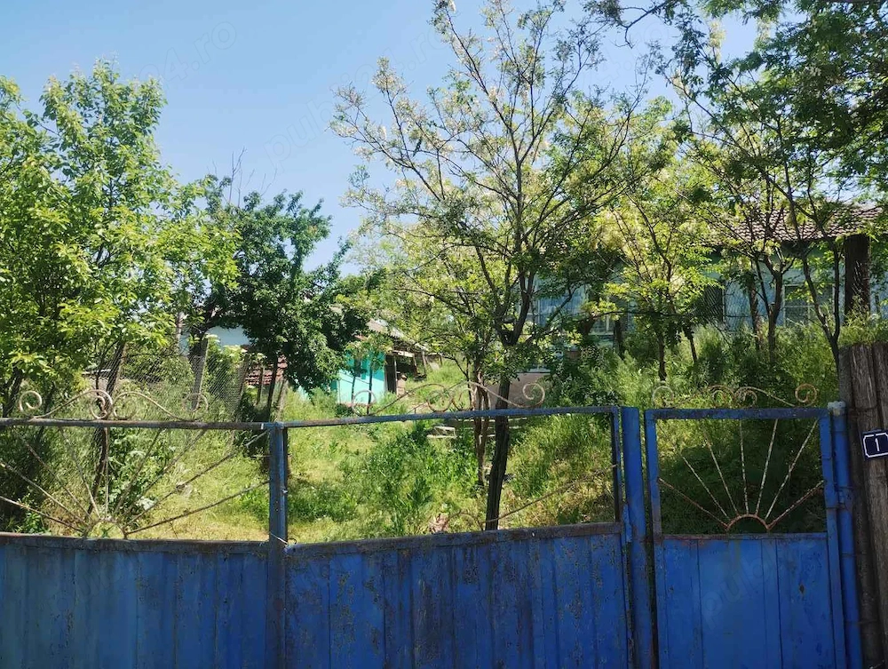 Teren cu casă batranească de vânzare comuna Rasova