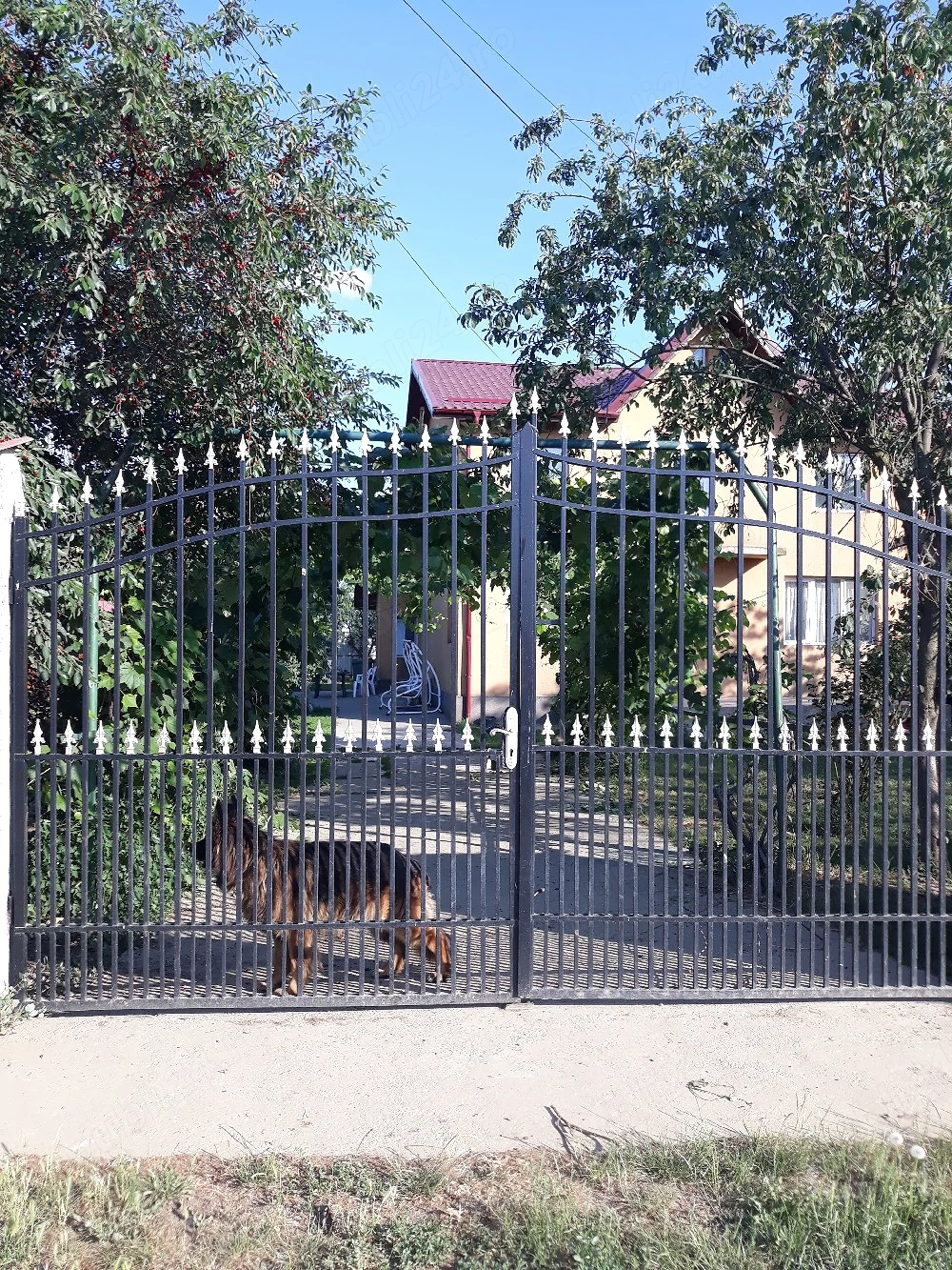 vanzari vile