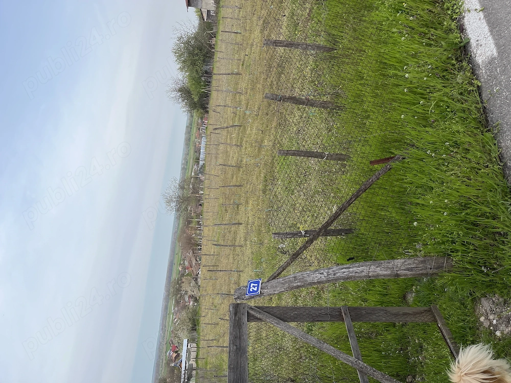 Teren de vânzare intravilan într-o zonă liniștită