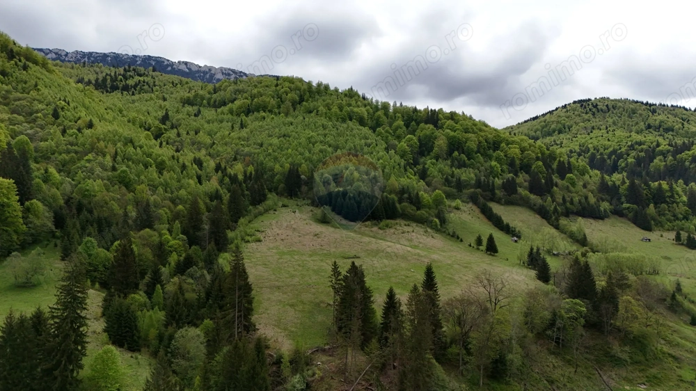 Extravilan + Intravilan | Sătic-Rucăr | Cadru natural | Turistic
