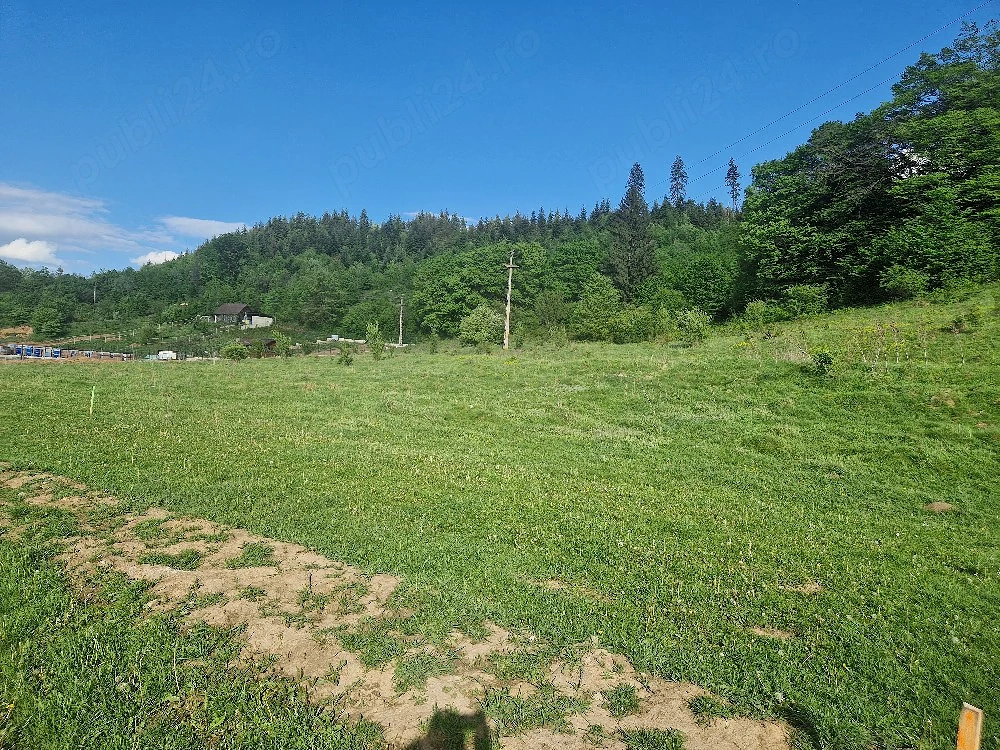 Teren intravilan Cristian   Brașov | Zona liniștită, pădure