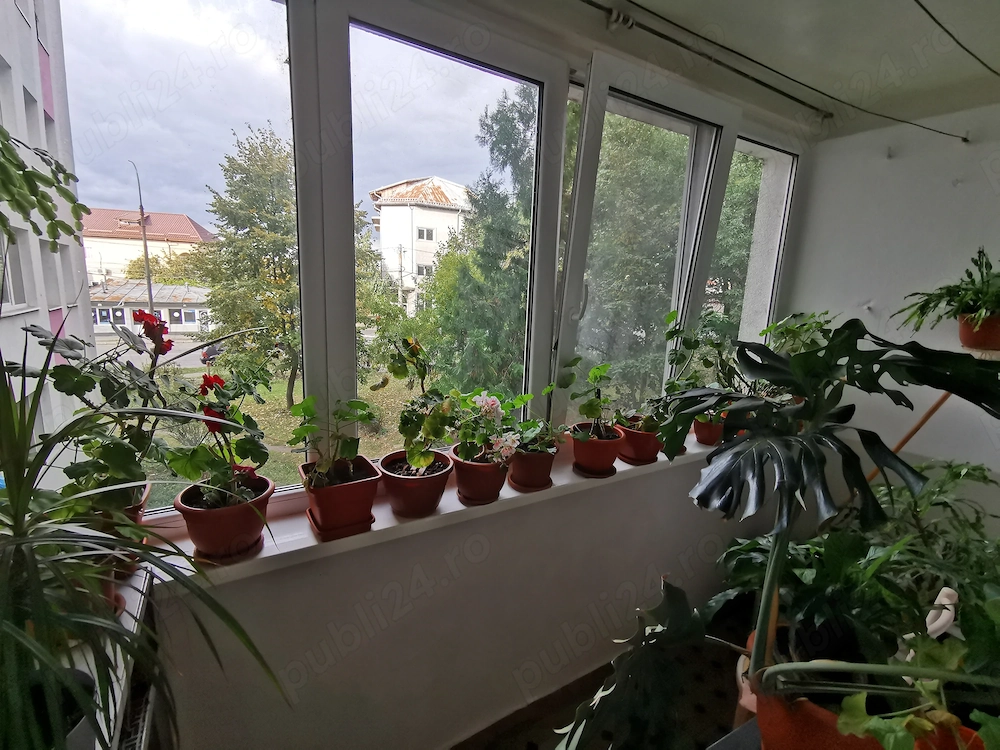 Apartament 3 camere etaj 1
