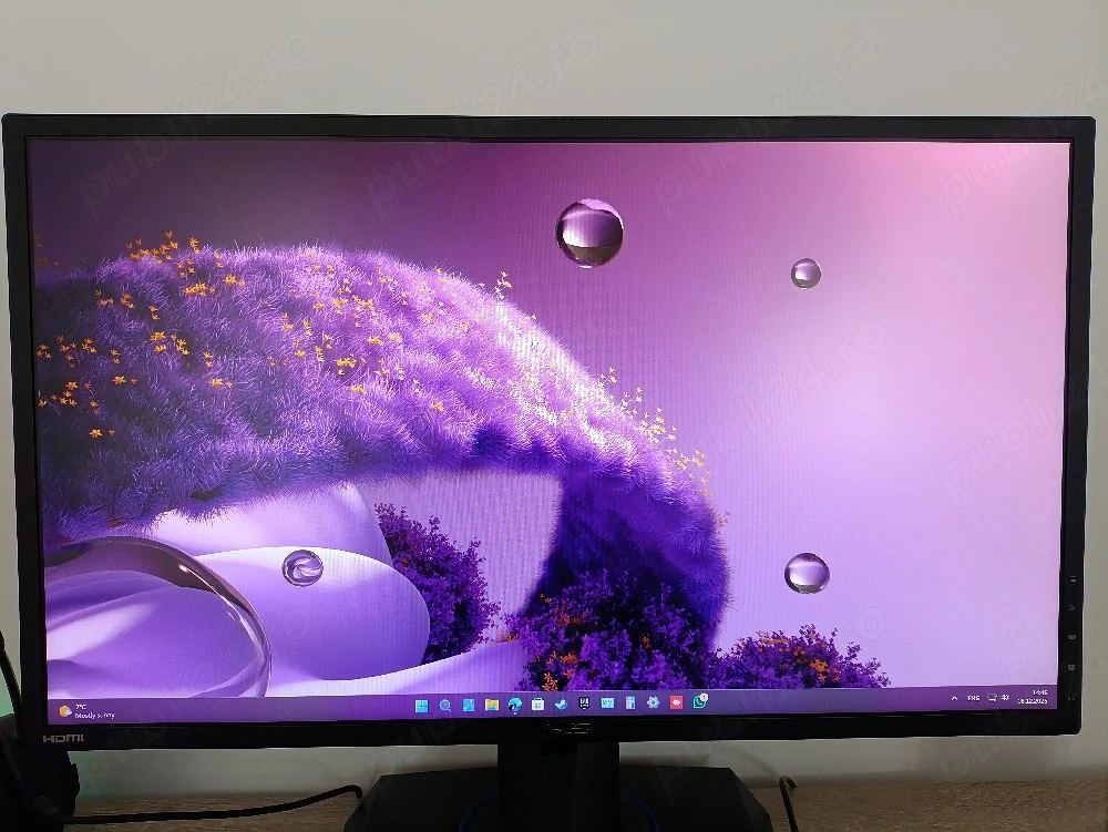 Monitor ASUS