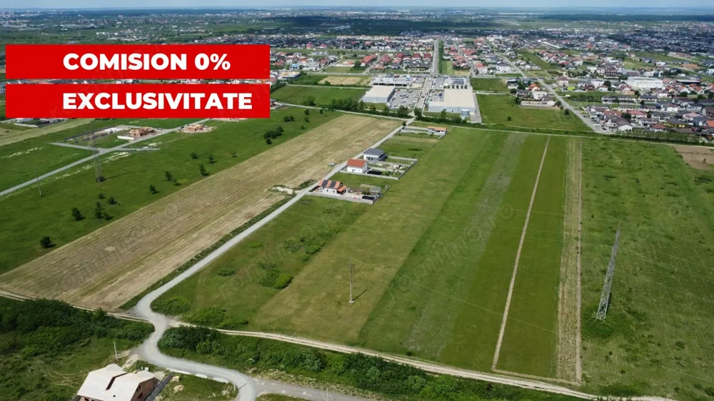 Oportunitate de investitie | Teren extravilan | Mosnita Noua