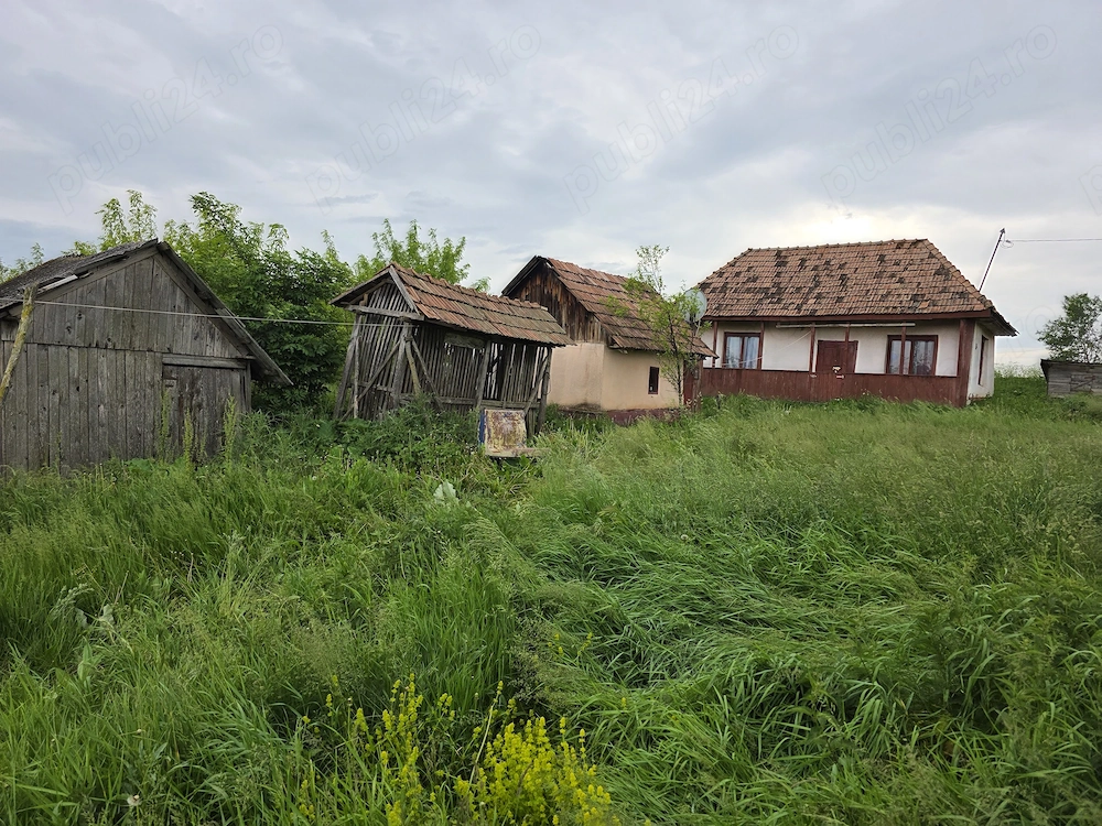 Vand casa Saulia (Groapa Radai), 5000m patrati