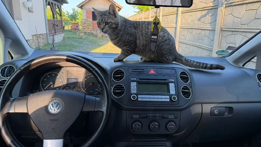Vw Golf 5  1.6 Mpi