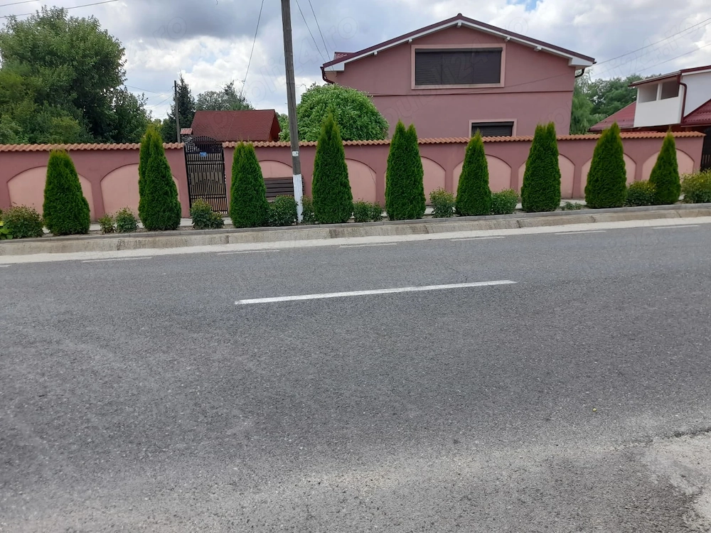 Casa de vânzare în Com. Scrioastea, Jud. Teleorman 