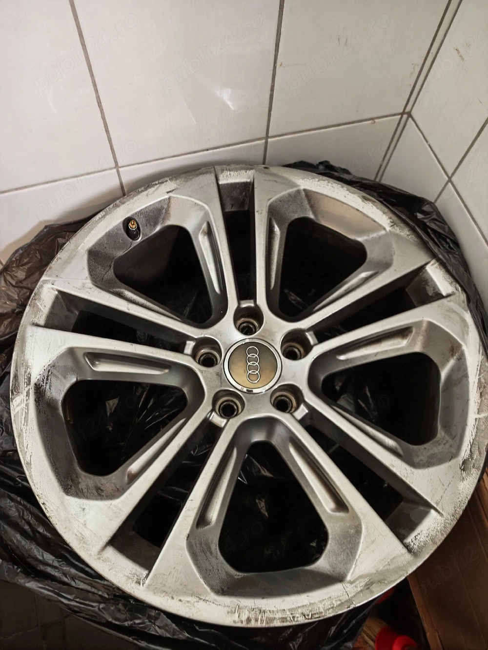jenti audi 19"