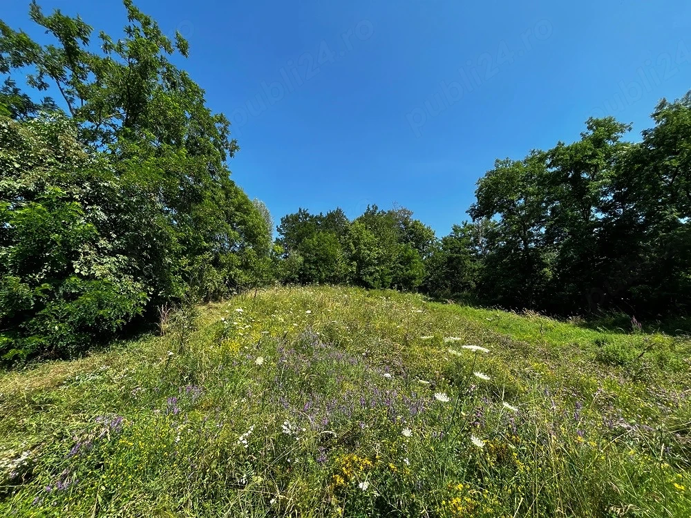 Exclusivitate   Teren Panoramic in SLĂNIC PRAHOVA