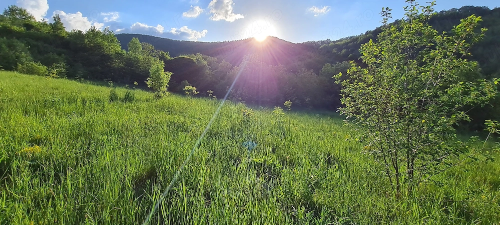 Teren de vânzare Vălisoara, Alba