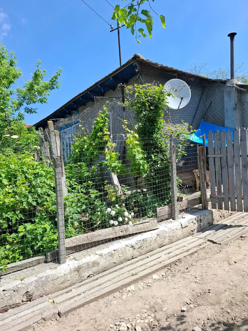 Casă de vânzare în Dunăreni, com. Aliman   Gospodărie completă, mobilată și utilată.
