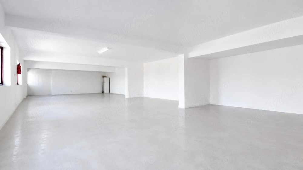 Proprietar Spatii Hale