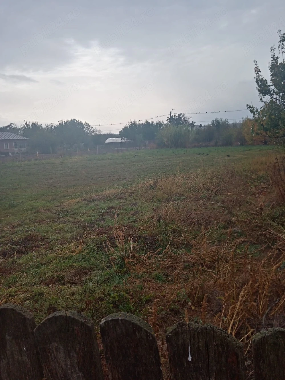 Vând teren Radovanu Călărași 