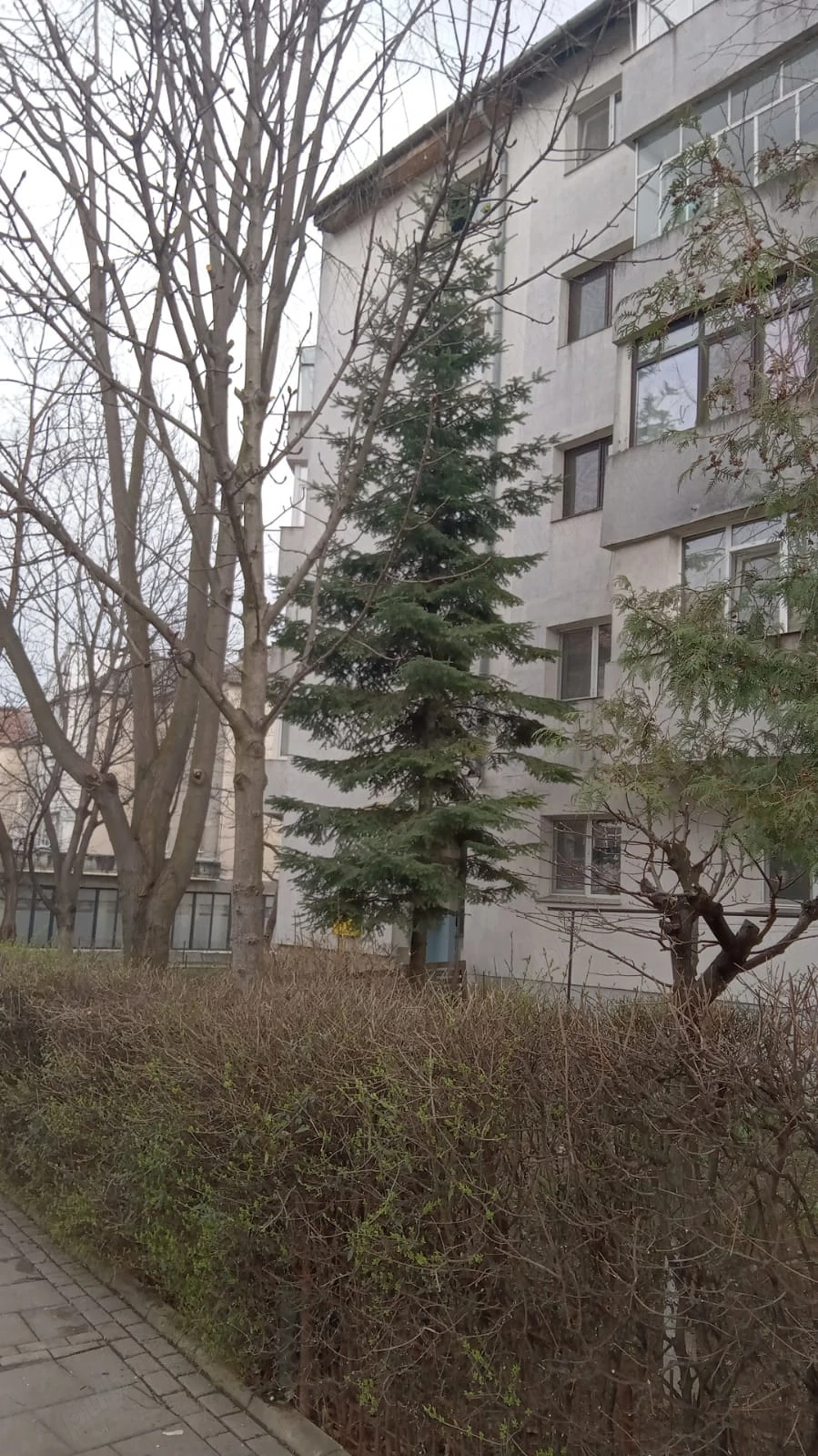 Vand apartament cu 3 camere, str. Savenilor, 68 mp