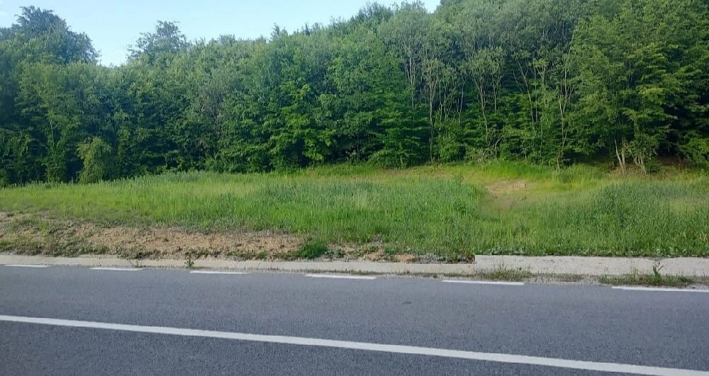 Teren în Zece Hotare, comuna Şuncuiuş,Bihor