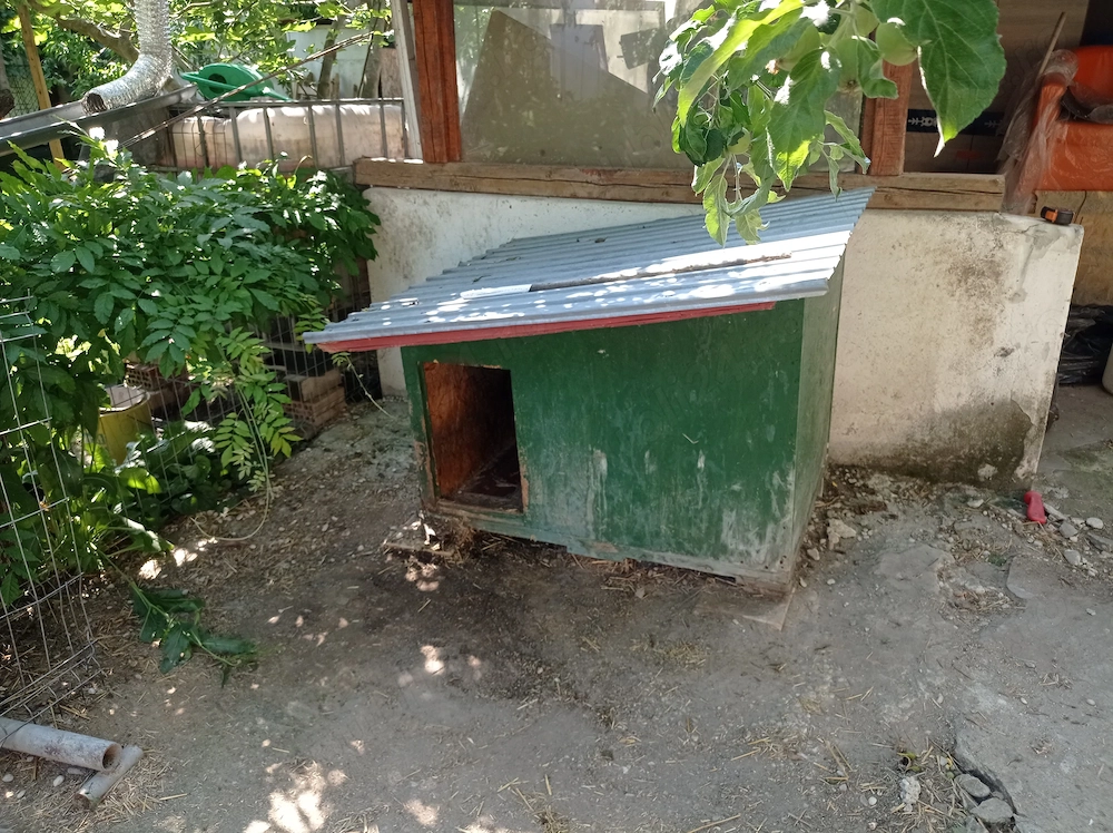 Vând cușcă de câine