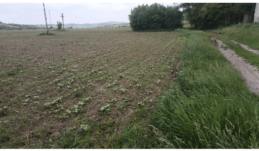 Parcele teren intravilan 