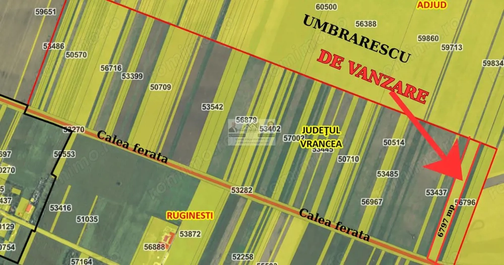 Teren agricol Ruginesti/La granita cu Umbrarescu