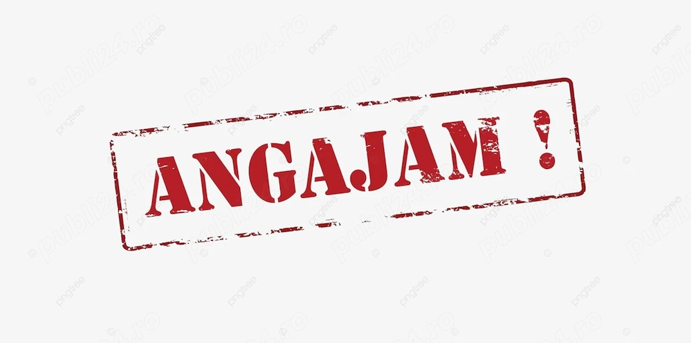 Angajam Inginer Mecanic, locatie Iasi