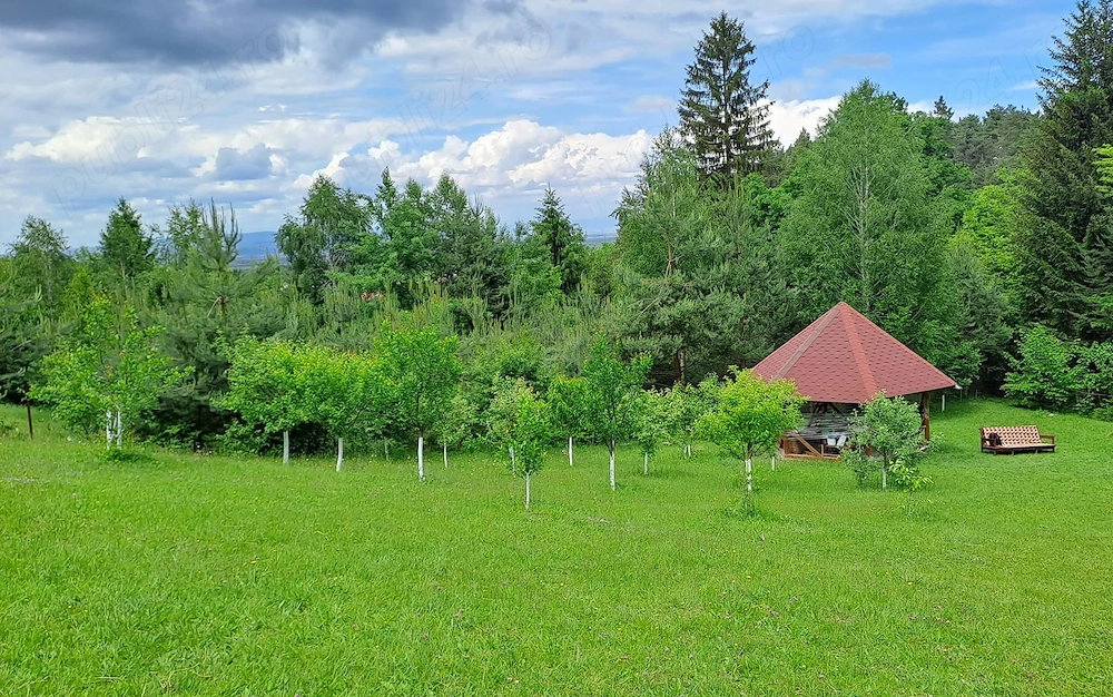 Teren intravilan in Sacele (Brasov), 2000 mp cu livada, foișor, apa, curent