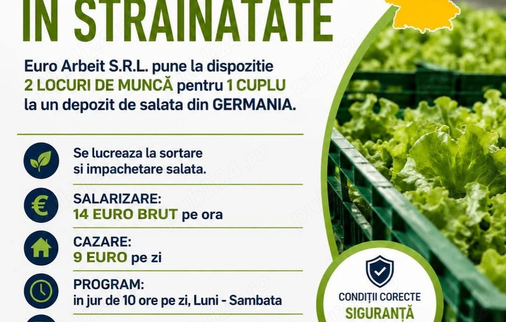Este nevoie urgent de cupluri la salata 