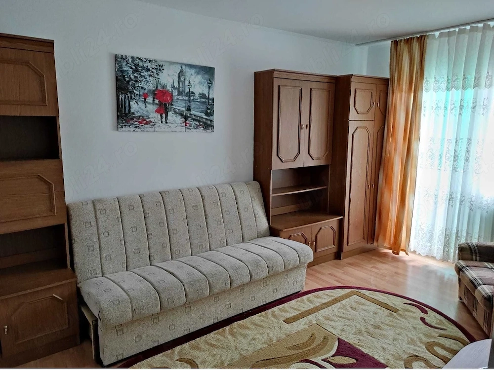 Apartament 1 camera cu balcon, pet-friendly, in Alexandru