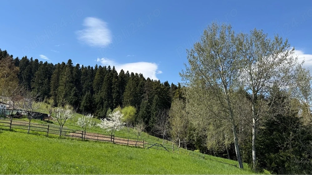Vand teren zona de munte