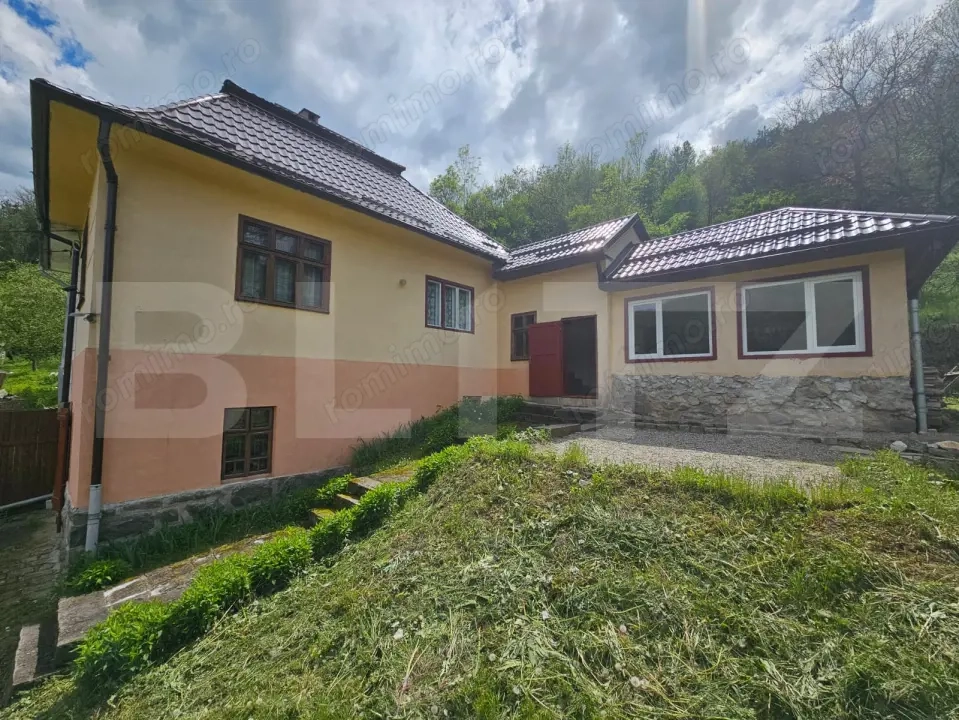 Casă P+E, panoramă montană, 4.400 mp teren, Ocoliş