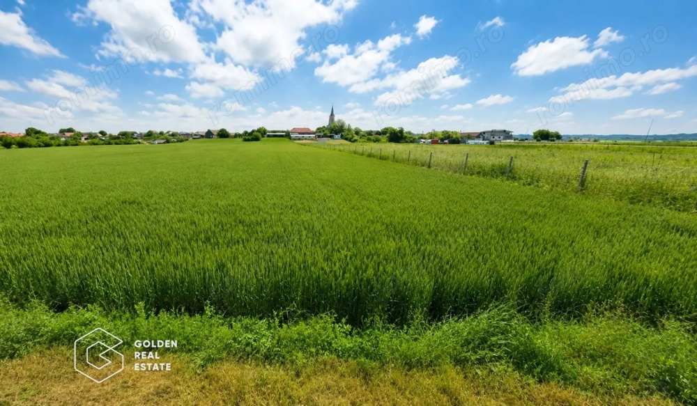 Teren intravilan, 5300 mp, Localitatea Vladimirescu, comision 0%