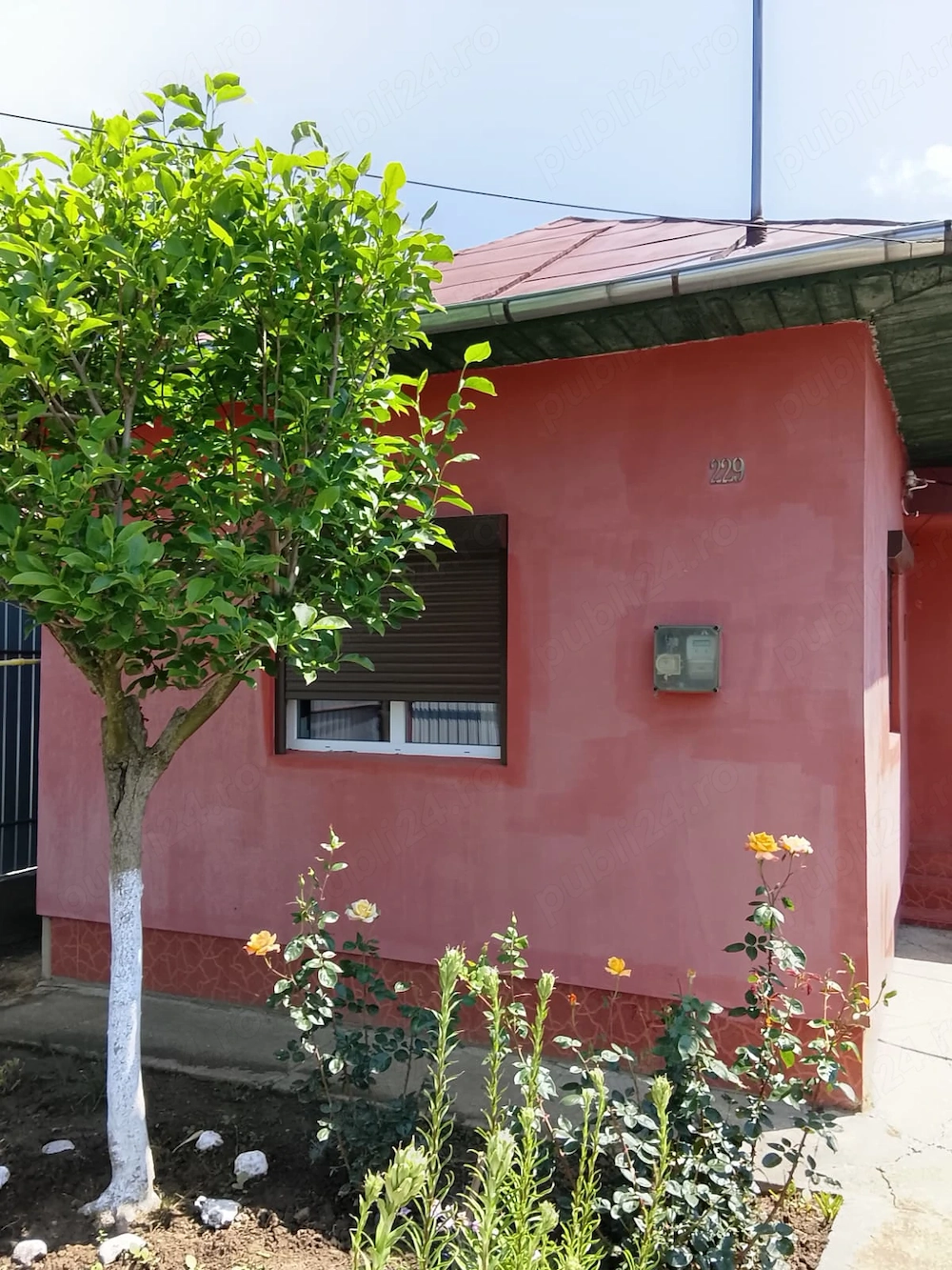 Casa de vanzare Oltenita