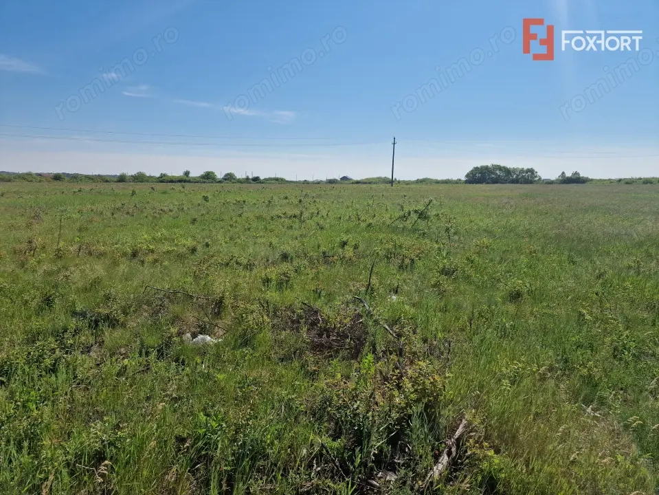 Teren de 5000 mp de vanzare in Mosnita Veche