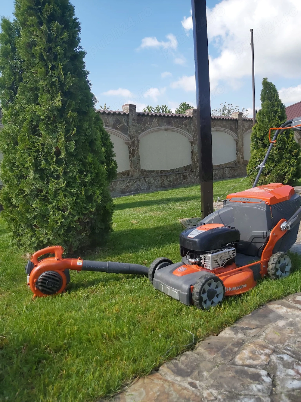 Angajez băieți serios harnici pentru spati verzi 