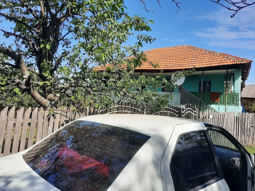 Casa cu teren de vanzare