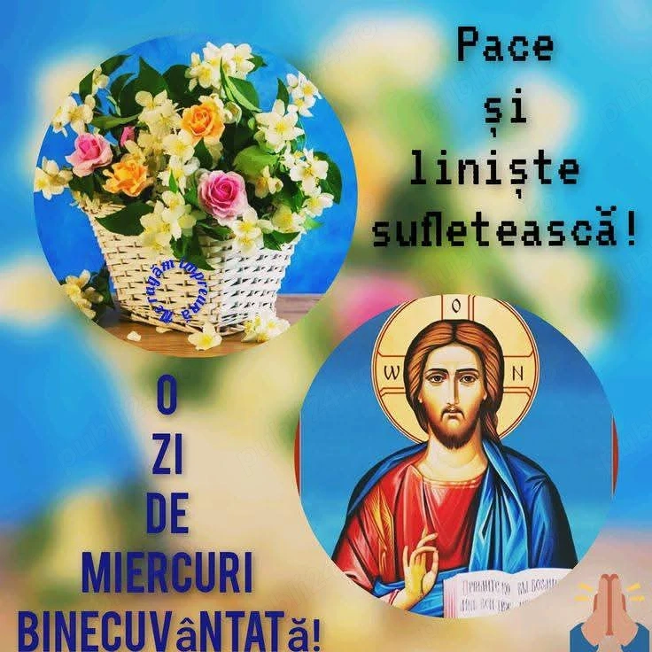 Îngrijire bătrâni în Ploiesti,