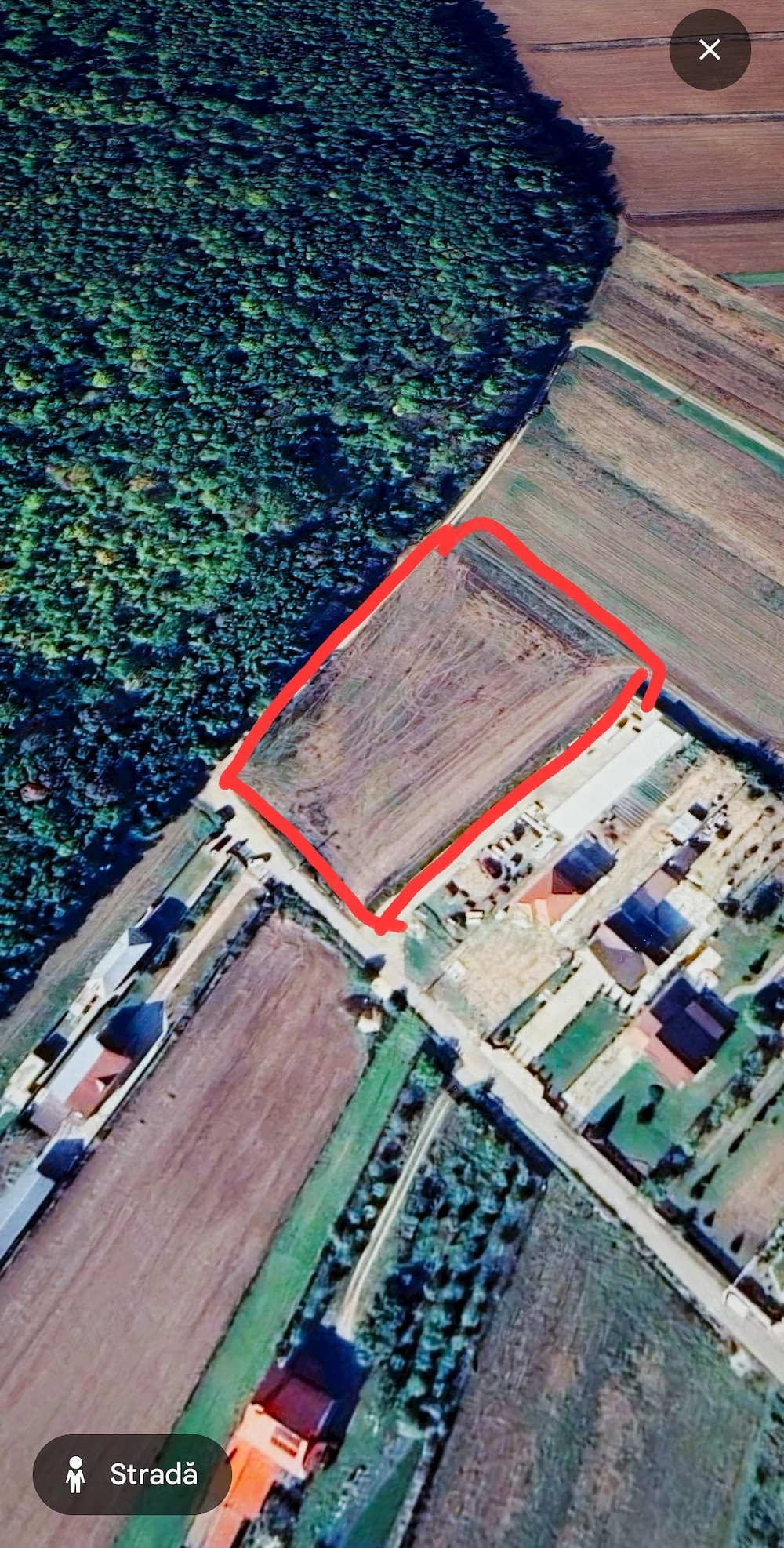 Teren 5200 mp Poiana lui Stânga, Str. Teiului, la pădure   Termen lung   Drept de construire