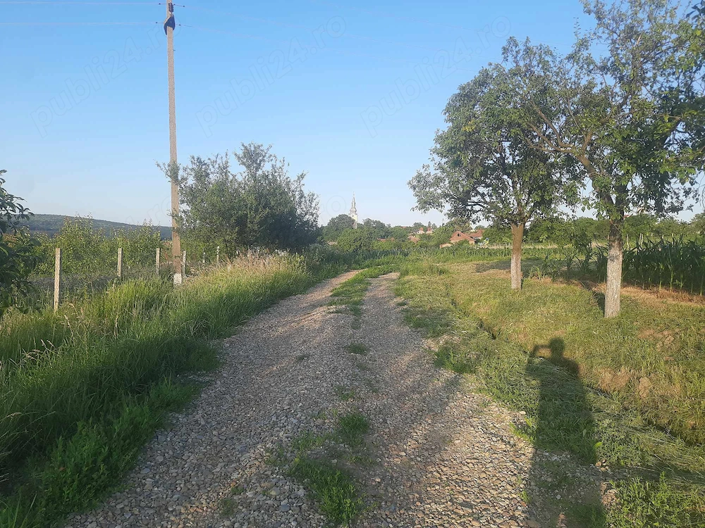 Teren 894 mp cu front stradal 18 m aproape de Oradea | Eladó beltelek