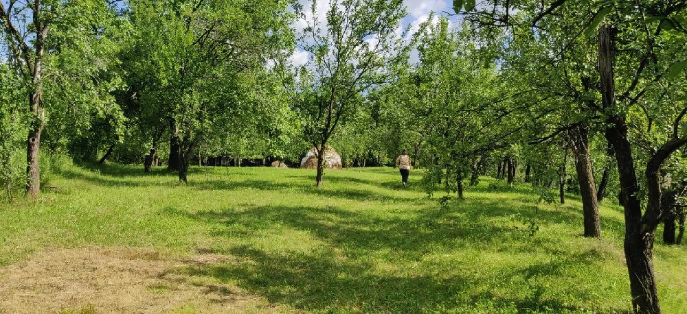 Vand teren Maneciu Pamanteni
