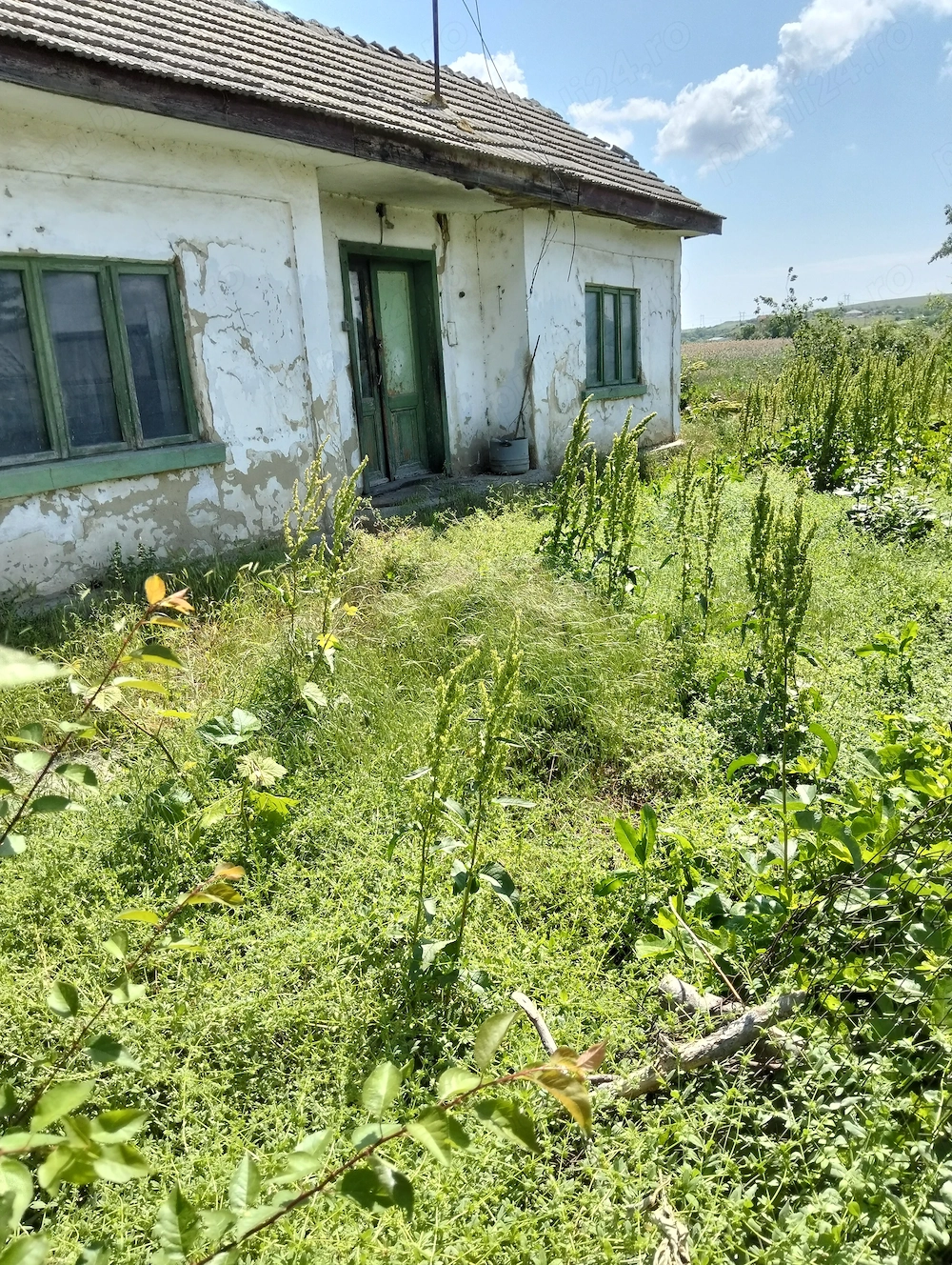 Vând casă cu teren oraș isaccea 