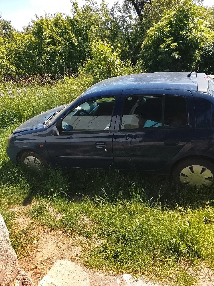 vind Renault Clio