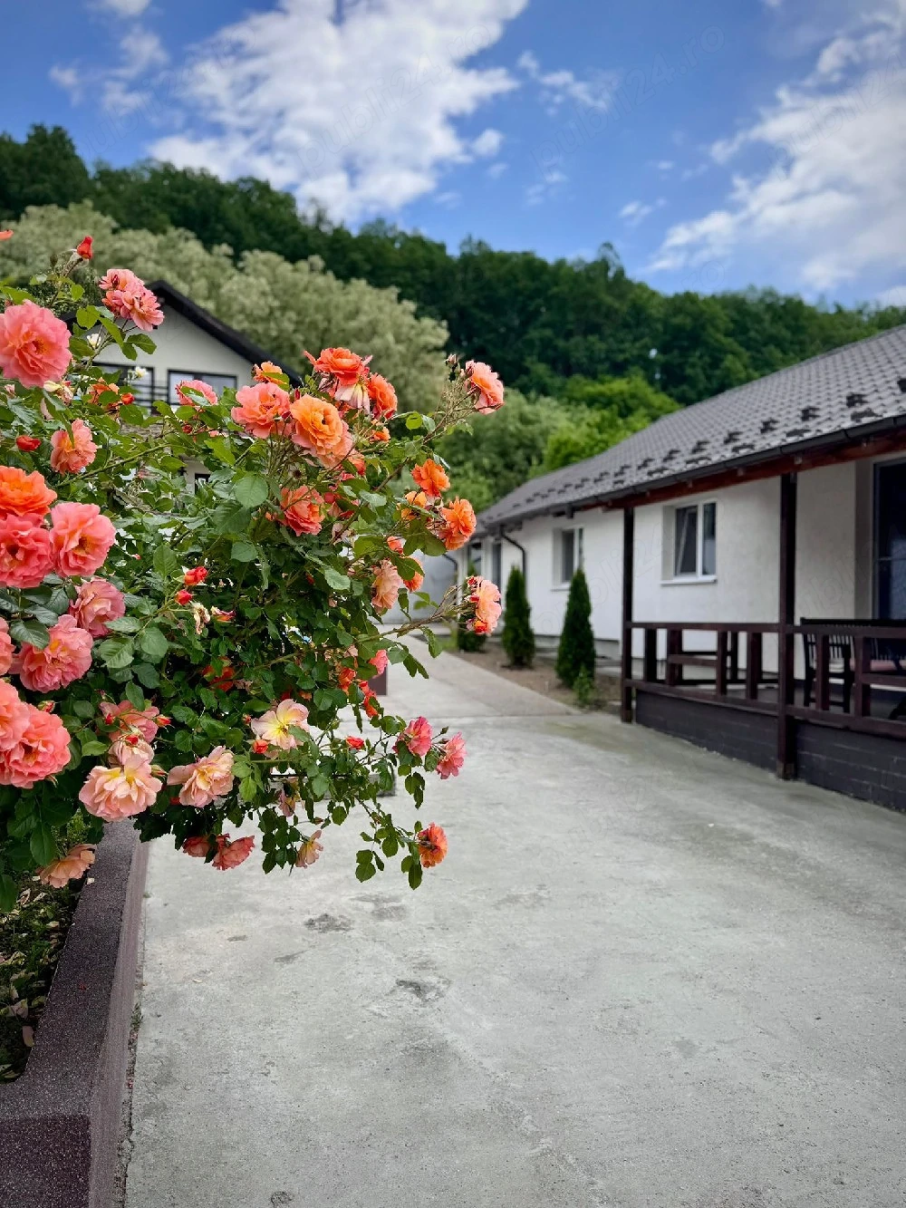 Casa de vanzare!