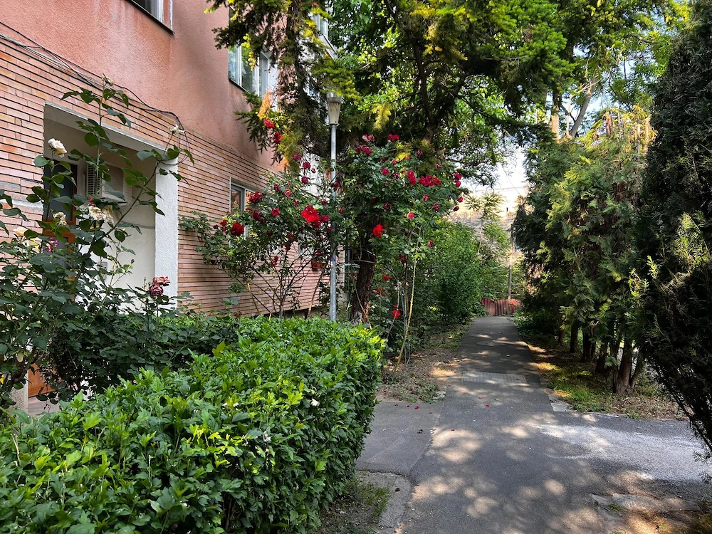 Apartament 3 camere piata catedralei 