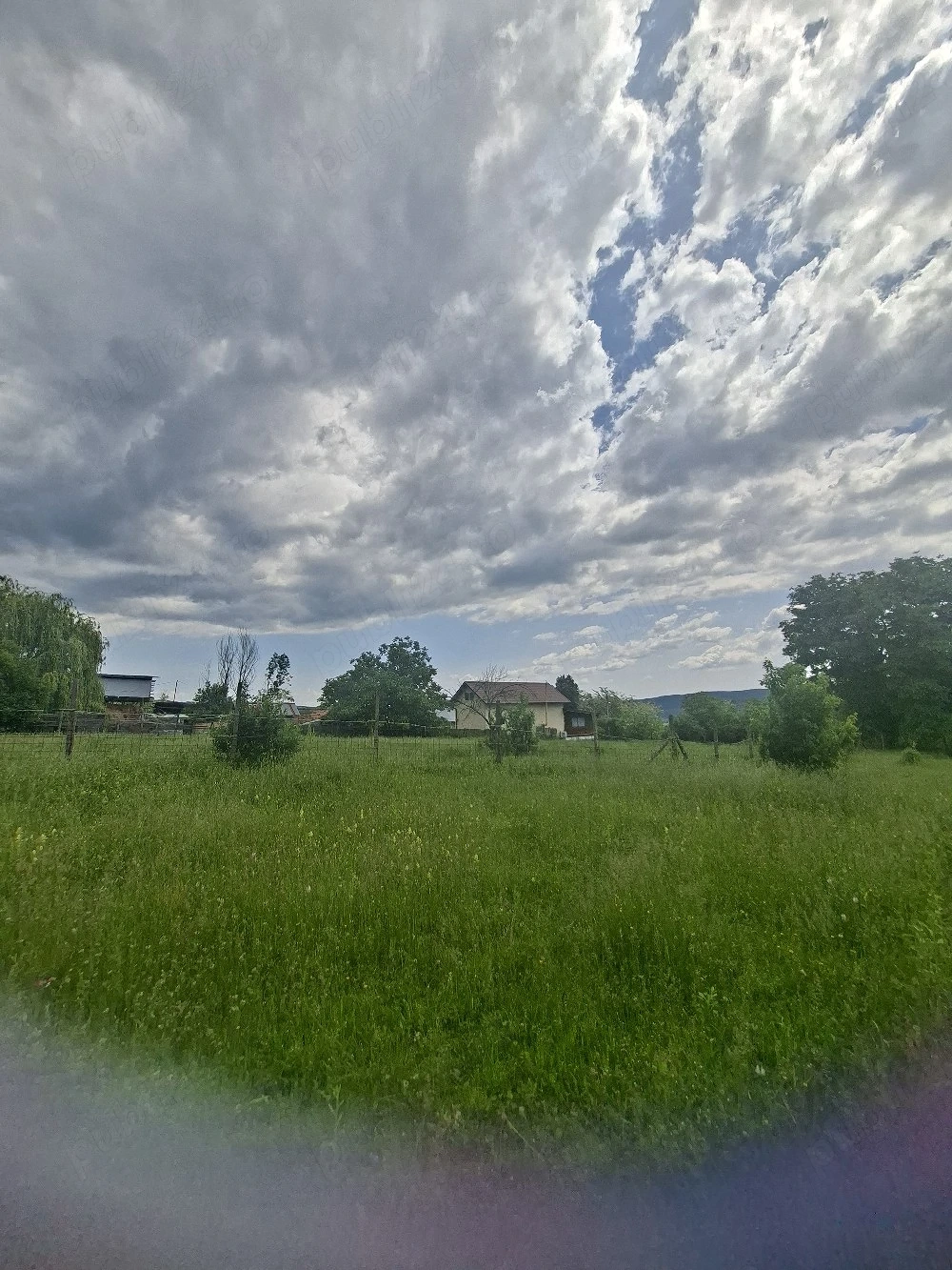 vant urgent teren 5000mp in localitatea hales 