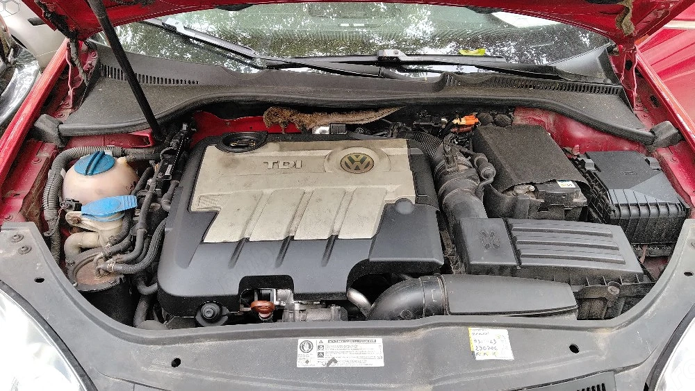 Vand Golf 5, 2009, 2.0 TDI