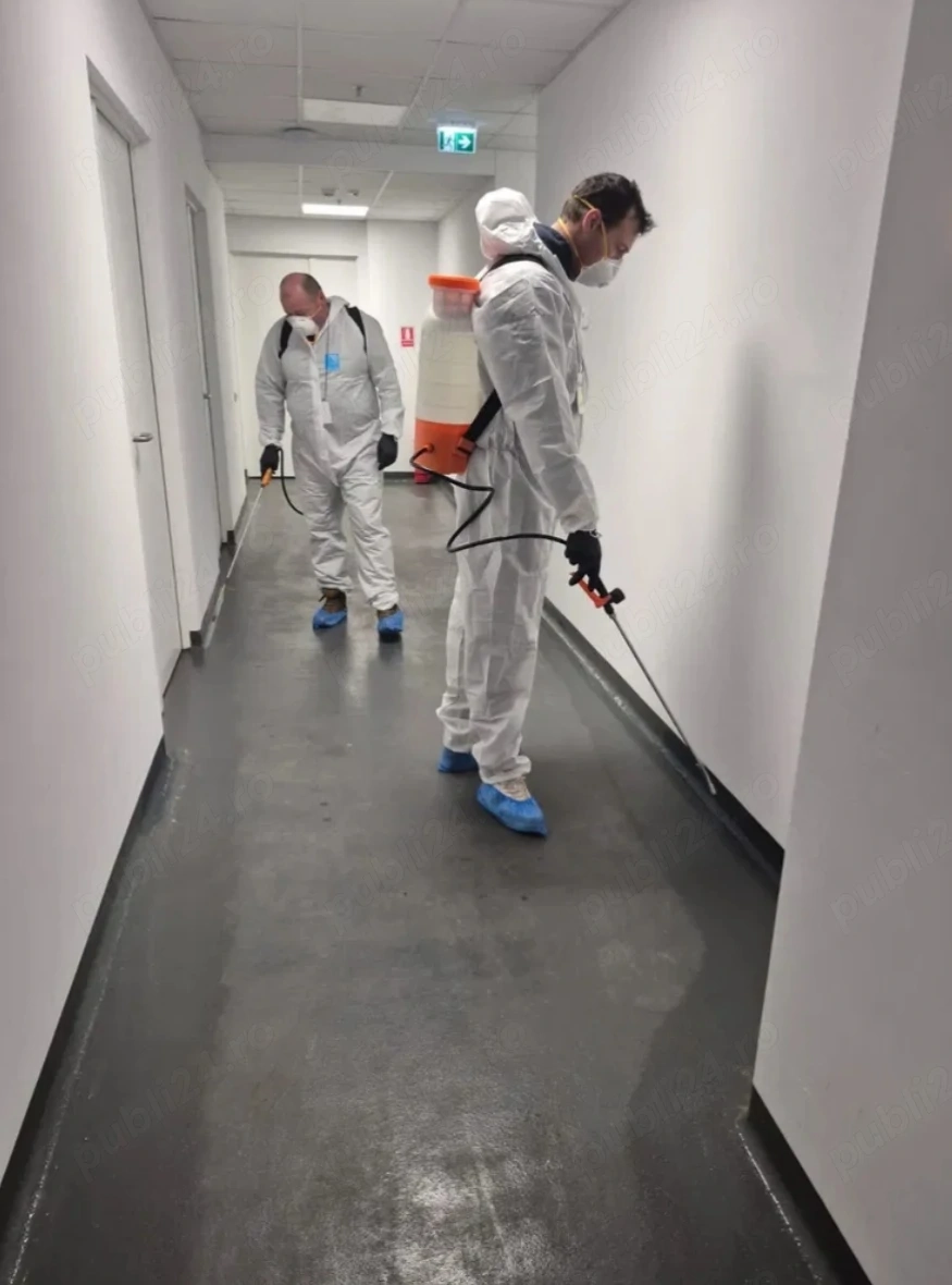 Firmă de deratizare angajează 2 muncitori începând cu 22  Iunie 