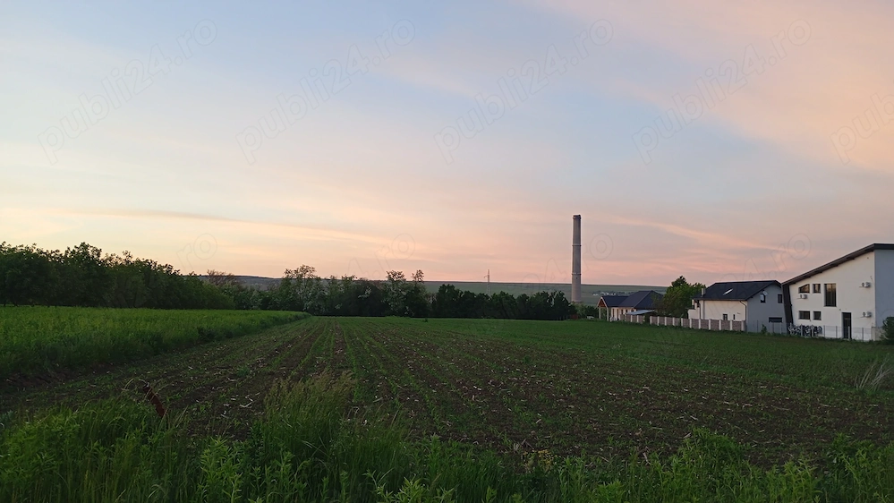 Teren intravilan Lisaura 