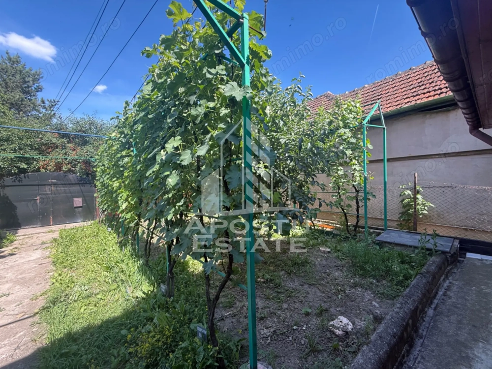 Casa individuala cu teren de vanzare, zona Plopi Timisoara