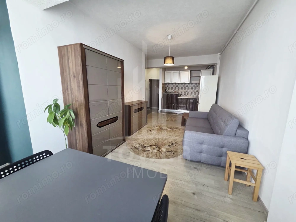 Apartament 2 camere de închiriat - Doamna Stanca