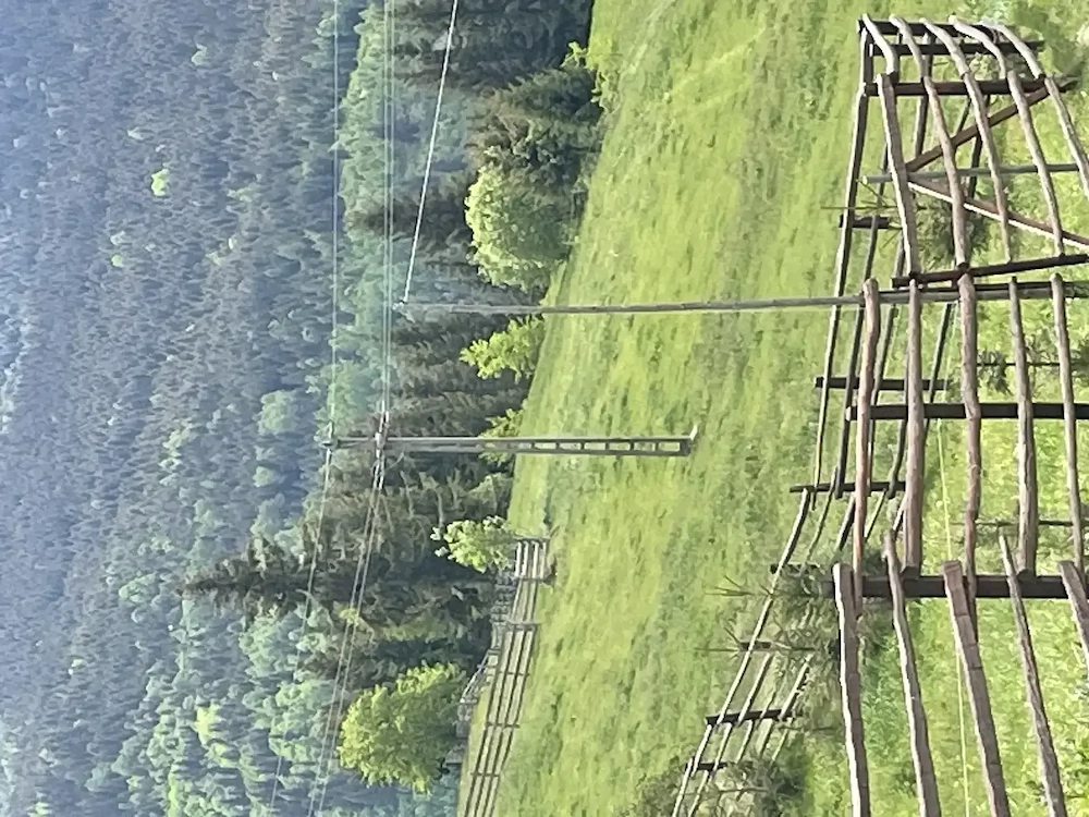 Teren la Maguri