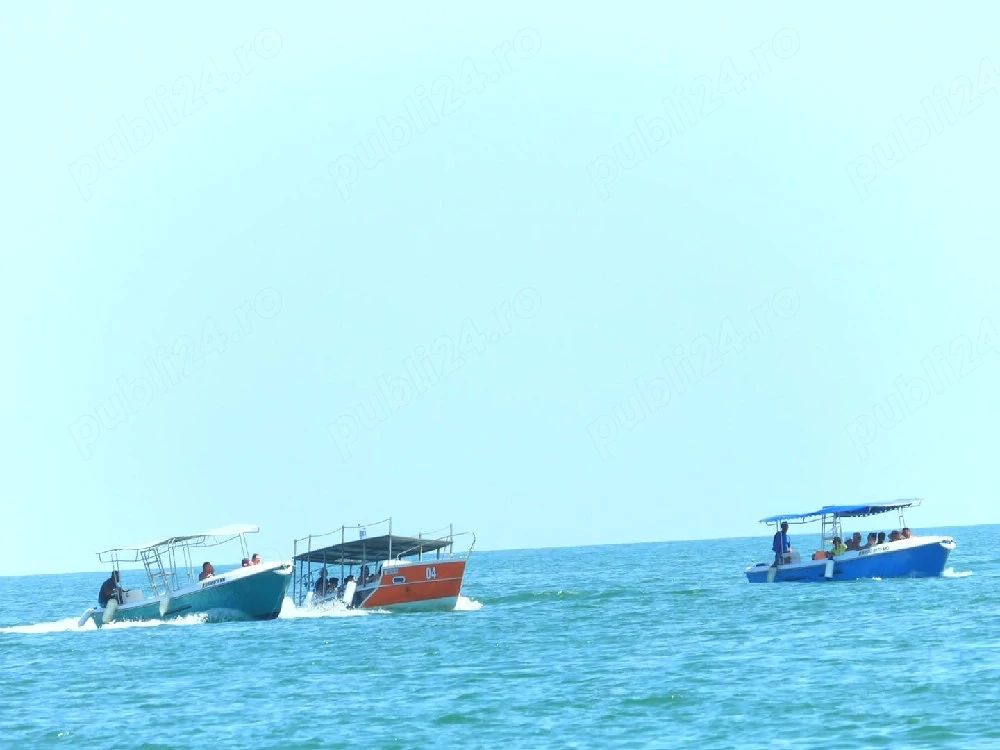 Angajez conducator ambarcatiune  skipper