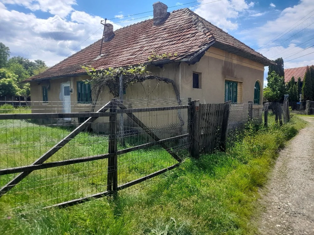 Casa Stâlpeni 1958 , curte 940mp